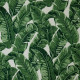 145214-0000 Tropics Jungle
